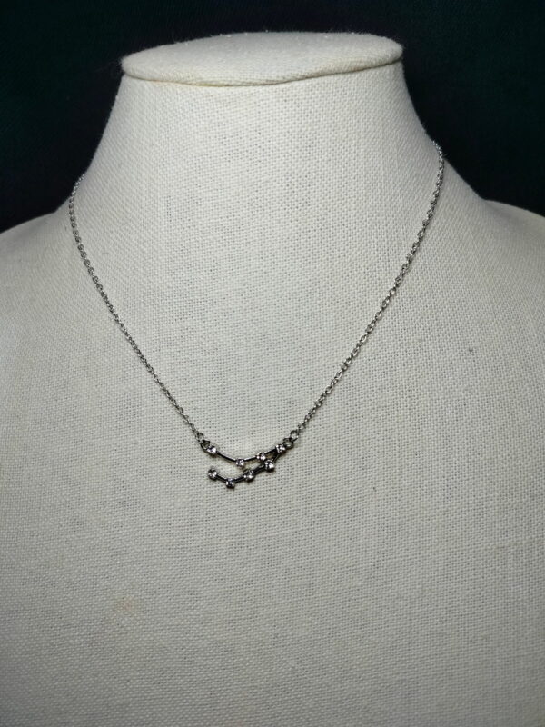 Capricorn Zodiac silver tone necklace 16in
