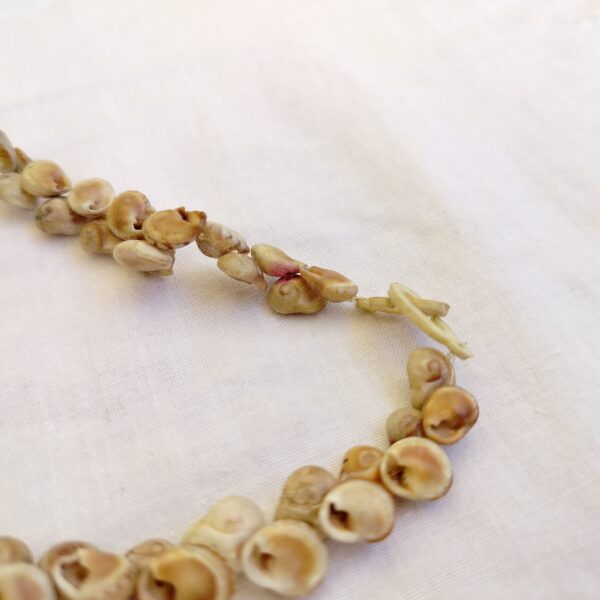 Natural Seashell Necklace with Hand-Carved Toggle Clasp - Image 2