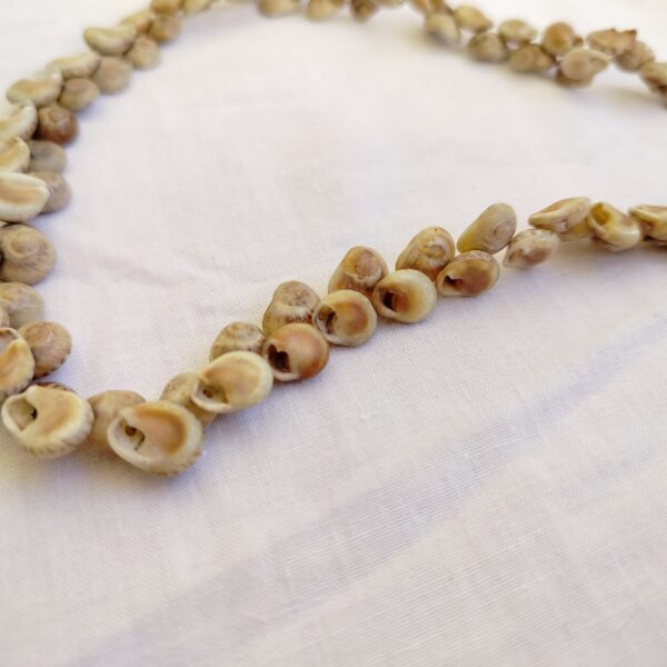 Natural Seashell Necklace with Hand-Carved Toggle Clasp - Image 3