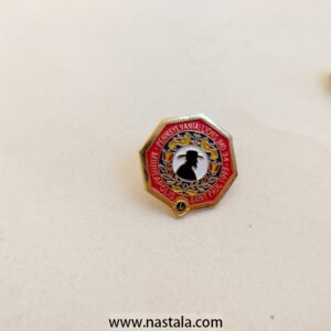 Brooch/Pin