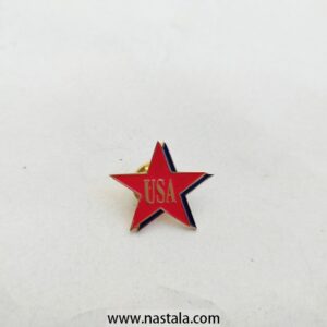 Pin/ Brooch