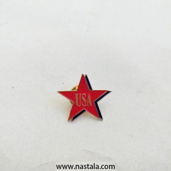 Pin/ Brooch