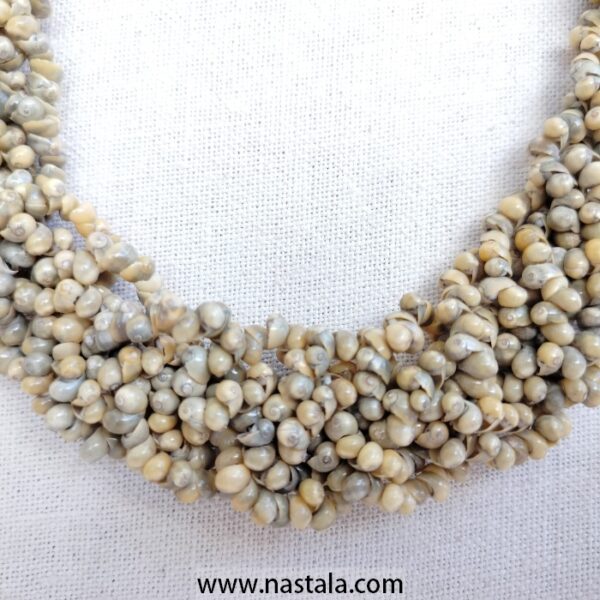 Natural snails Hand made Necklace - Image 5