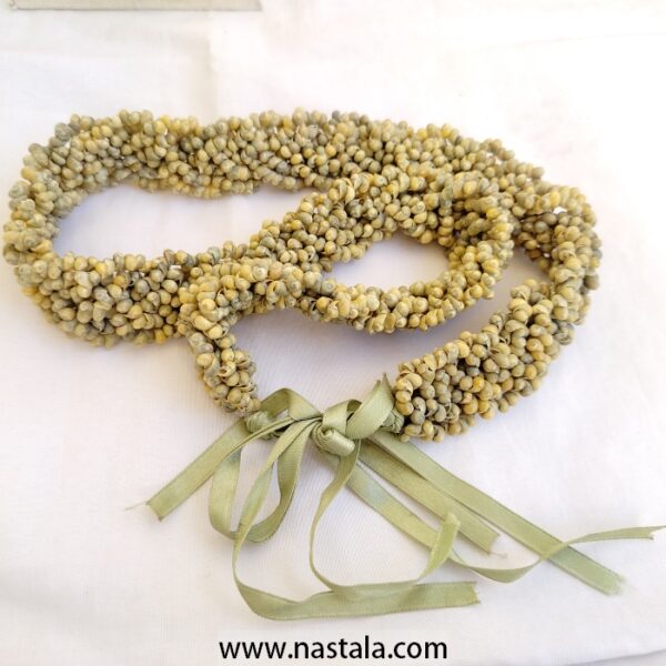 Natural snails Hand made Necklace - Image 4