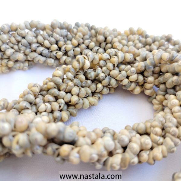 Natural snails Hand made Necklace - Image 2