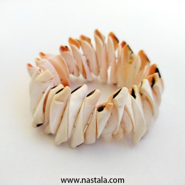 Natural Shells Bracelet